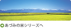 あづみの米シリーズボタン