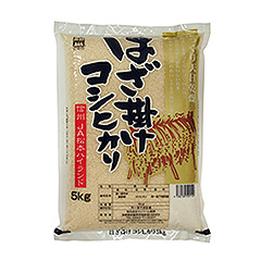はざ掛けコシヒカリ