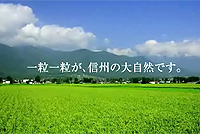 一粒のお米（続編）CM