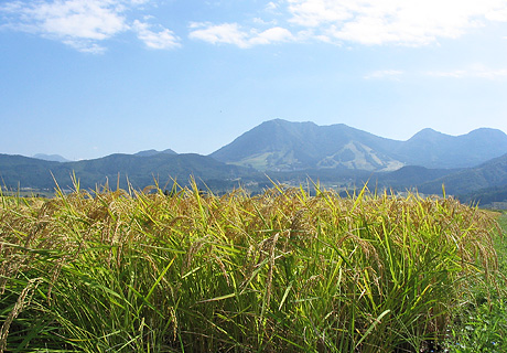 北信エリア（長野県飯山市周辺）