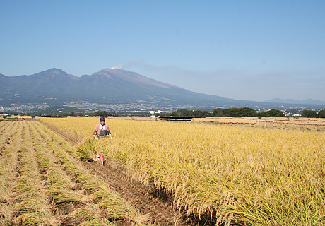 東信エリア（長野県佐久市周辺）