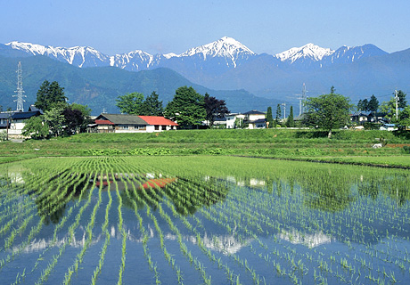 中信エリア（長野県安曇野・松本市周辺）