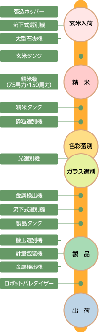 お米が出来るまでチャート