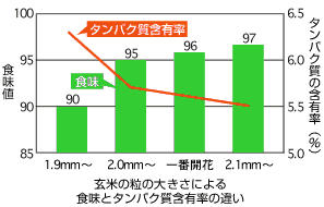 玄米の粒の大きさによる食味とタンパク質含有率の違い