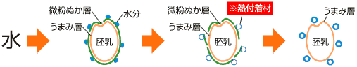 新無洗米（テイスティーホワイトライス）の製法